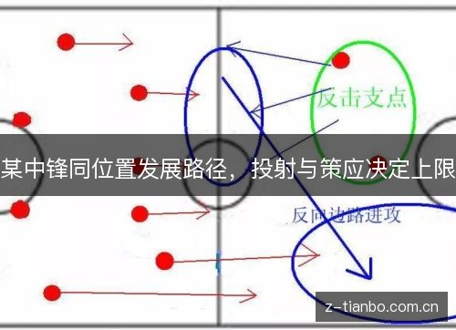 某中锋同位置发展路径,投射与策应决定上限 某中锋同位置发展路径,投射与策应决定上限